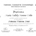 Ampliar imagen: certificate 3