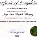 Ampliar imagen: certificate 8