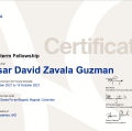 Ampliar imagen: certificate 1