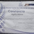Ampliar imagen: certificate 2