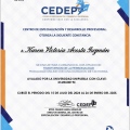 Ampliar imagen: certificate 13