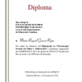 Ampliar imagen: certificate 4