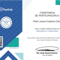 Ampliar imagen: certificate 8