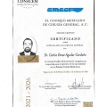 Ampliar imagen: certificate 1