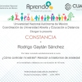 Ampliar imagen: certificate 12