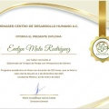 Ampliar imagen: certificate 1