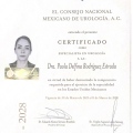 Ampliar imagen: certificate 2