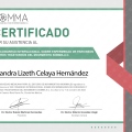 Ampliar imagen: certificate 1