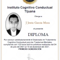 Ampliar imagen: certificate 4
