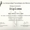 Ampliar imagen: certificate 5
