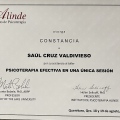 Ampliar imagen: certificate 2