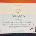 Ampliar imagen: certificate 9
