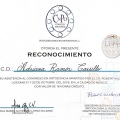 Ampliar imagen: certificate 17