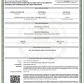Ampliar imagen: certificate 1
