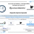 Ampliar imagen: certificate 8