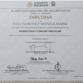 Ampliar imagen: certificate 3