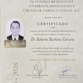Ampliar imagen: certificate 3