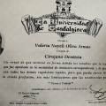 Ampliar imagen: certificate 3