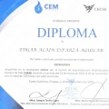 Ampliar imagen: certificate 4