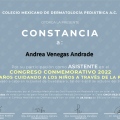 Ampliar imagen: certificate 7