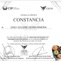 Ampliar imagen: certificate 6