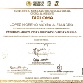 Ampliar imagen: certificate 9