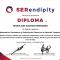 Ampliar imagen: certificate 6