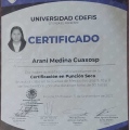 Ampliar imagen: certificate 2