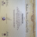 Ampliar imagen: certificate 25