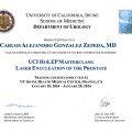 Ampliar imagen: certificate 2