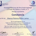 Ampliar imagen: certificate 5