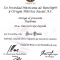 Ampliar imagen: certificate 5