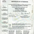 Ampliar imagen: certificate 2