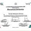Ampliar imagen: certificate 26