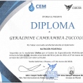 Ampliar imagen: certificate 4