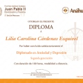 Ampliar imagen: certificate 2