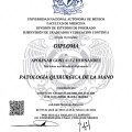 Ampliar imagen: certificate 5