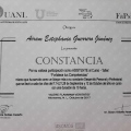 Ampliar imagen: certificate 14