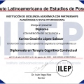 Ampliar imagen: certificate 3
