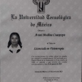 Ampliar imagen: certificate 1