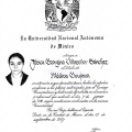 Ampliar imagen: certificate 5