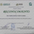 Ampliar imagen: certificate 1