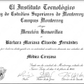 Ampliar imagen: certificate 3