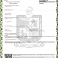 Ampliar imagen: certificate 1
