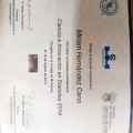 Ampliar imagen: certificate 3