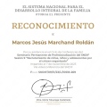Ampliar imagen: certificate 9