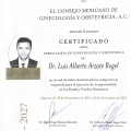 Ampliar imagen: certificate 9