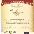 Ampliar imagen: certificate 11