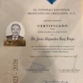 Ampliar imagen: certificate 1