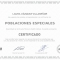 Ampliar imagen: certificate 16